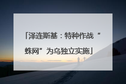 泽连斯基：特种作战“蛛网”为乌独立实施