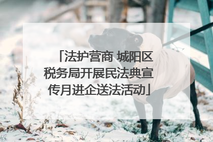 法护营商 城阳区税务局开展民法典宣传月进企送法活动