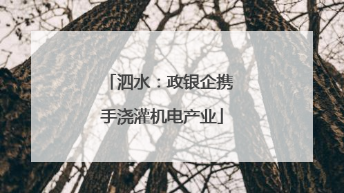 泗水：政银企携手浇灌机电产业