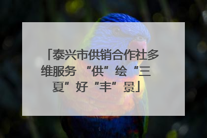 泰兴市供销合作社多维服务 “供”绘“三夏”好“丰”景