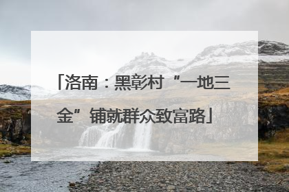 洛南：黑彰村“一地三金”铺就群众致富路