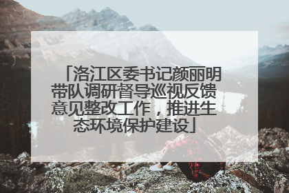洛江区委书记颜丽明带队调研督导巡视反馈意见整改工作，推进生态环境保护建设