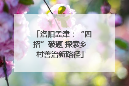 洛阳孟津：“四招”破题 探索乡村善治新路径