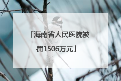海南省人民医院被罚1506万元
