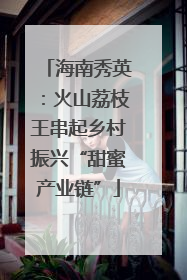 海南秀英：火山荔枝王串起乡村振兴“甜蜜产业链”