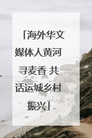 海外华文媒体人黄河寻麦香 共话运城乡村振兴