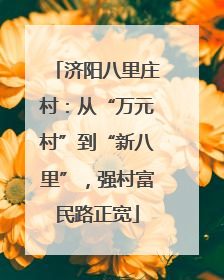 济阳八里庄村：从“万元村”到“新八里”，强村富民路正宽