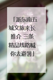 浙东南五城文旅来长推介 三条精品线路喊你去避暑