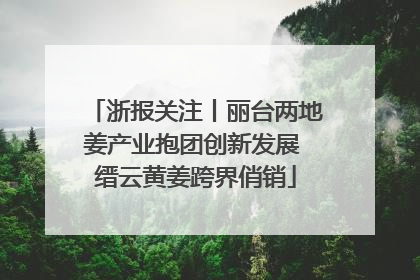 浙报关注丨丽台两地姜产业抱团创新发展 缙云黄姜跨界俏销