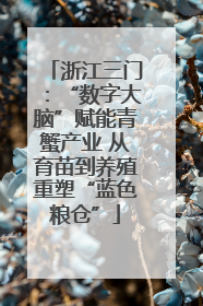 浙江三门：“数字大脑”赋能青蟹产业 从育苗到养殖重塑“蓝色粮仓”