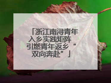 浙江南浔青年入乡实践矩阵 引燃青年返乡“双向奔赴”