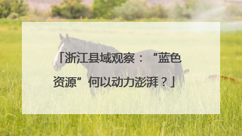 浙江县域观察：“蓝色资源”何以动力澎湃？