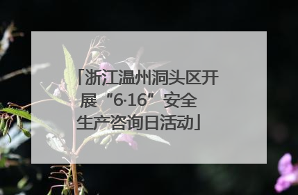 浙江温州洞头区开展“6·16”安全生产咨询日活动