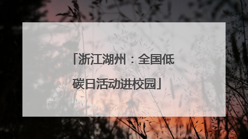 浙江湖州：全国低碳日活动进校园