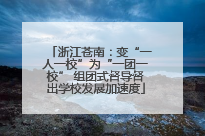 浙江苍南：变“一人一校”为“一团一校” 组团式督导督出学校发展加速度