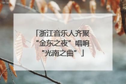 浙江音乐人齐聚“金东之夜”唱响“光南之曲”