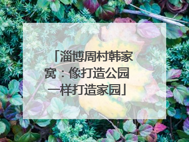 淄博周村韩家窝：像打造公园一样打造家园