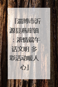 淄博市沂源县燕崖镇：浓情端午话文明 多彩活动暖人心