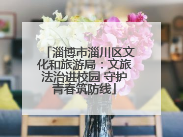 淄博市淄川区文化和旅游局：文旅法治进校园 守护青春筑防线