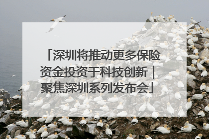 深圳将推动更多保险资金投资于科技创新｜聚焦深圳系列发布会