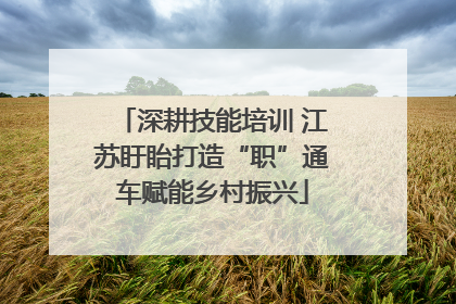 深耕技能培训 江苏盱眙打造“职”通车赋能乡村振兴