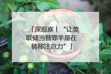 深观察丨“让美联储当替罪羊是在转移注意力”