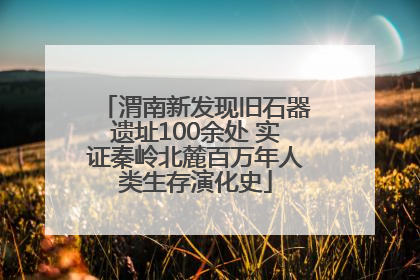 渭南新发现旧石器遗址100余处 实证秦岭北麓百万年人类生存演化史