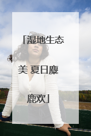 湿地生态美 夏日麋鹿欢