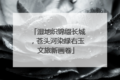 湿地织锦缀长城，苍头河染绿右玉文旅新画卷