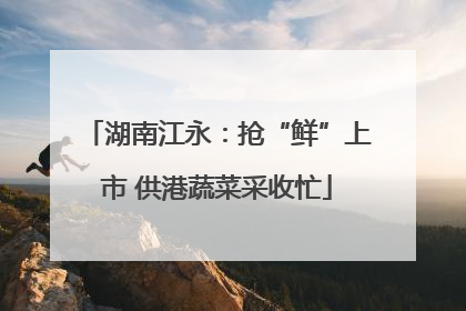 湖南江永：抢“鲜”上市 供港蔬菜采收忙