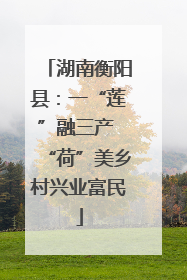 湖南衡阳县：一“莲”融三产 “荷”美乡村兴业富民