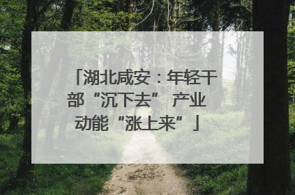 湖北咸安：年轻干部“沉下去” 产业动能“涨上来”