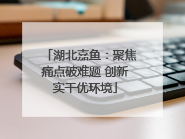 湖北嘉鱼：聚焦痛点破难题 创新实干优环境