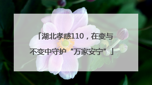 湖北孝感110，在变与不变中守护“万家安宁”