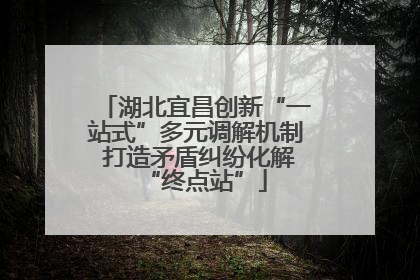 湖北宜昌创新“一站式”多元调解机制 打造矛盾纠纷化解“终点站”