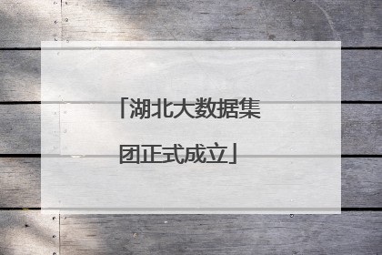 湖北大数据集团正式成立
