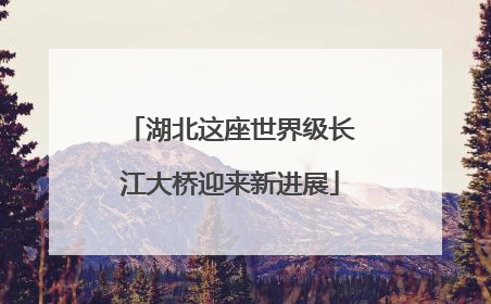湖北这座世界级长江大桥迎来新进展