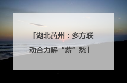 湖北黄州：多方联动合力解“薪”愁