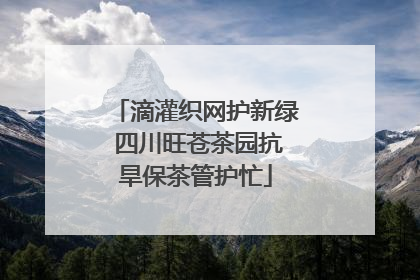 滴灌织网护新绿 四川旺苍茶园抗旱保茶管护忙