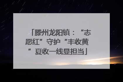 滕州龙阳镇：“志愿红”守护“丰收黄”夏收一线显担当