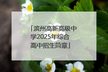 滨州高新高级中学2025年综合高中招生简章