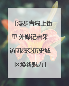 漫步青岛上街里 外媒记者采访团感受历史城区焕新魅力