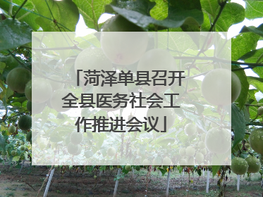 菏泽单县召开全县医务社会工作推进会议
