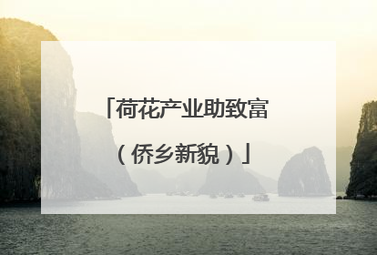 荷花产业助致富（侨乡新貌）