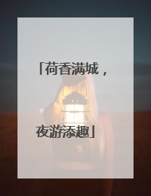 荷香满城，夜游添趣