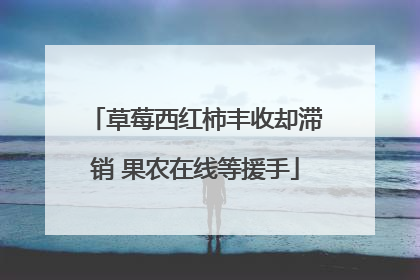草莓西红柿丰收却滞销 果农在线等援手