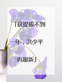 获提拔不到一年，洪少平再履新