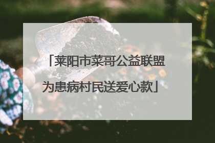 莱阳市菜哥公益联盟为患病村民送爱心款