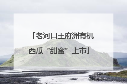老河口王府洲有机西瓜“甜蜜”上市