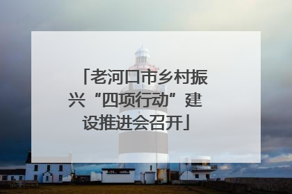 老河口市乡村振兴“四项行动”建设推进会召开